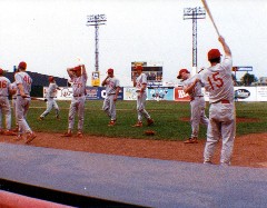 Andy McDougal; Silver Stadium; Baseball Section V Championship